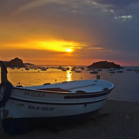 Apartment Lets Holidays Palmera Iii Tossa de Mar